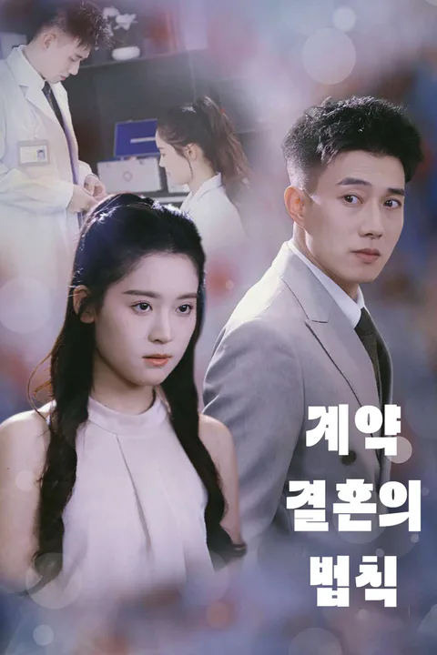 계약 결혼의 법칙 포스터