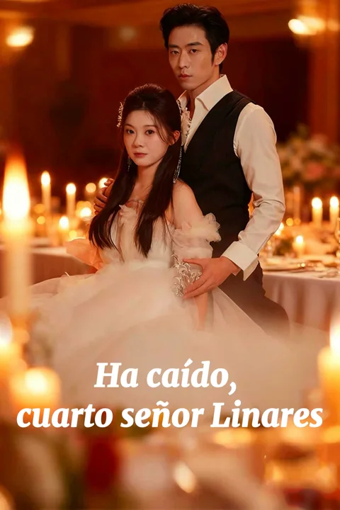 Póster de Ha caído, cuarto señor Linares