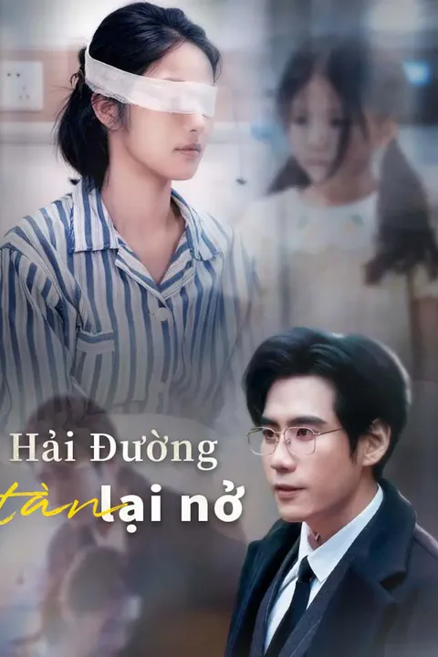 Poster Hải Đường tàn lại nở