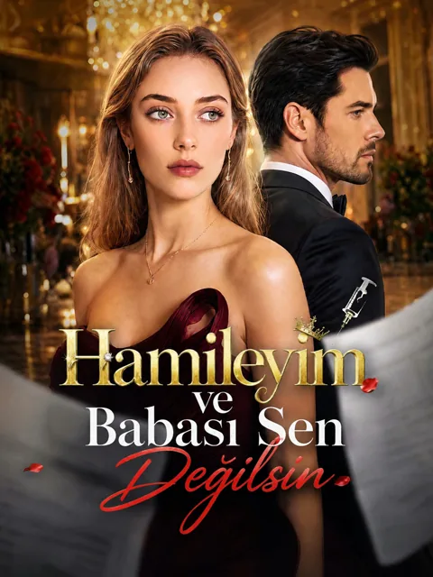 Hamileyim ve Babası Sen Değilsin afişi