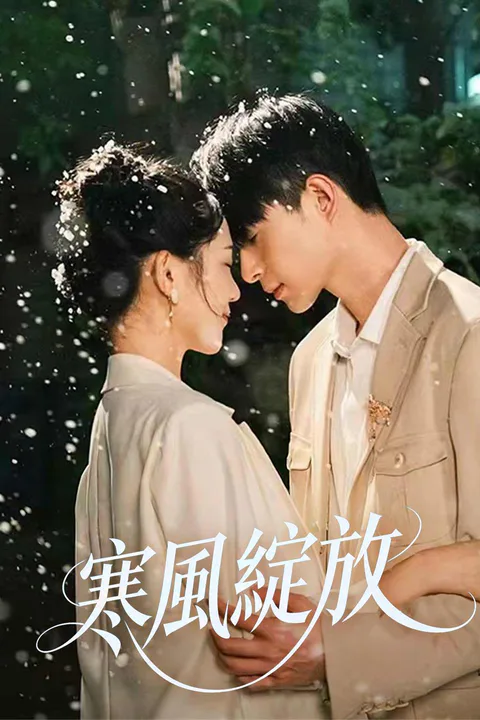 《寒風綻放》海報