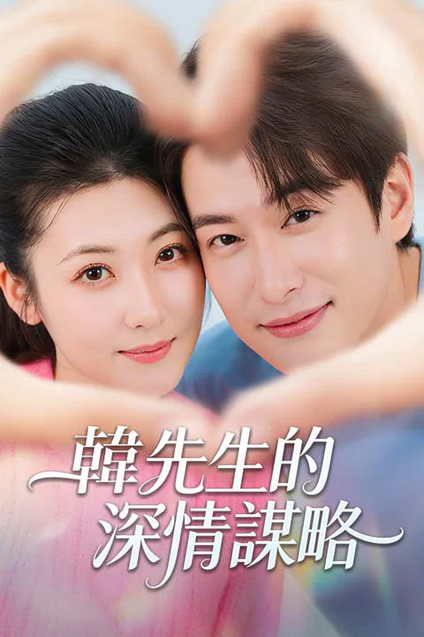 《韓先生的深情謀略》海報