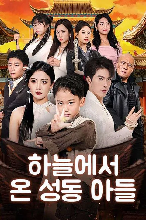 하늘에서 온 성동 아들 포스터