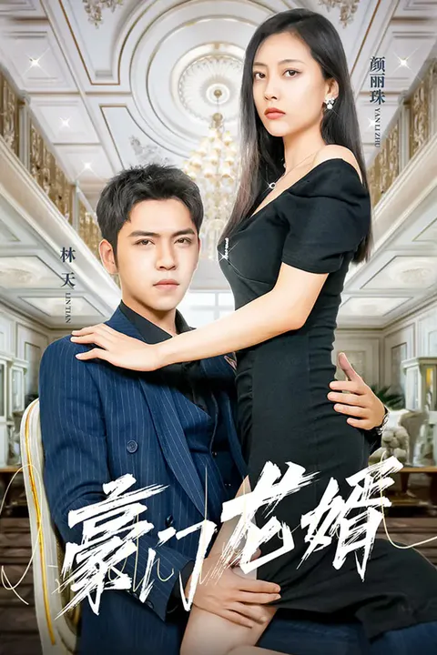 《豪门龙婿》海报