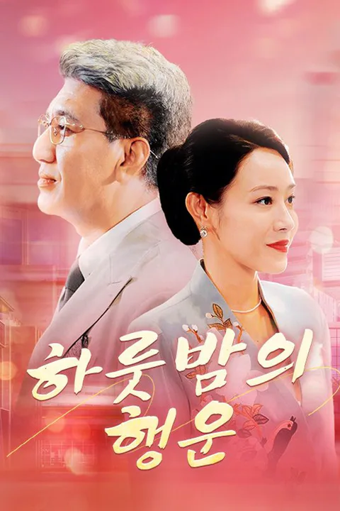 하룻밤의 행운 포스터
