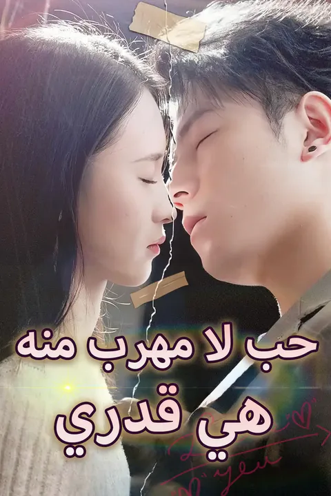 ملصق حب لا مهرب منه هي قدري
