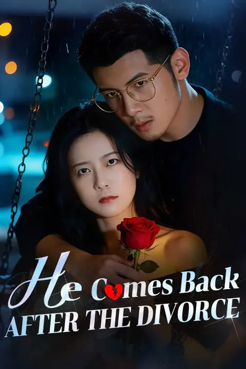 He Comes Back After The Divorce poster