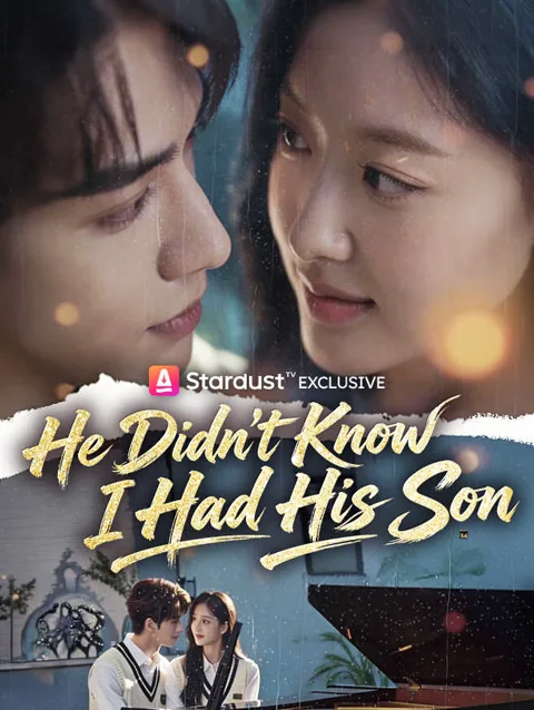 He Didn't Know I Had His Son poster