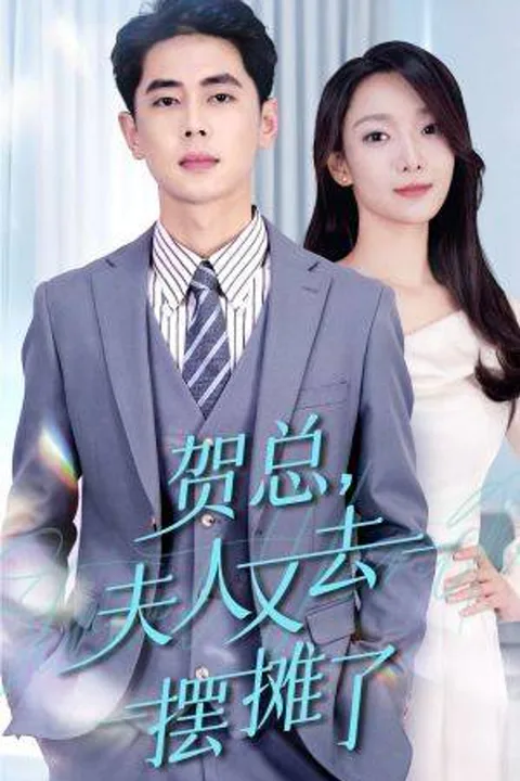 《贺总，夫人又去摆摊了》海报