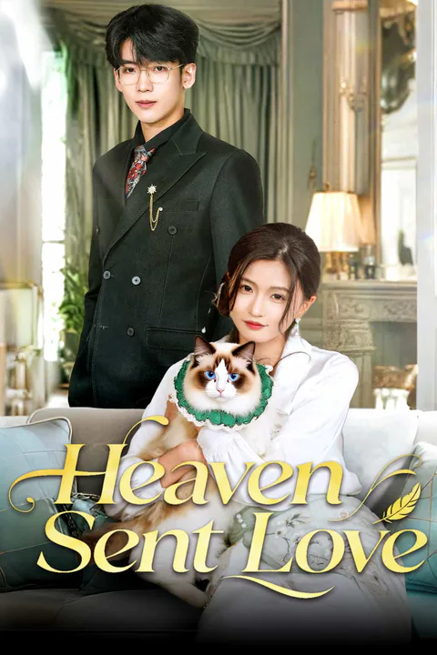 Heaven Sent Love poster