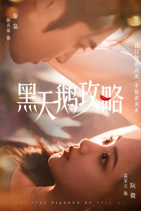 《黑天鹅攻略》海报