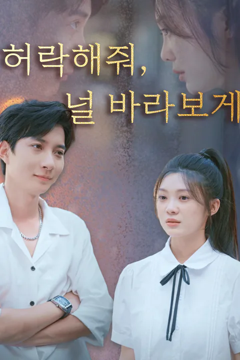 허락해줘, 널 바라보게 포스터