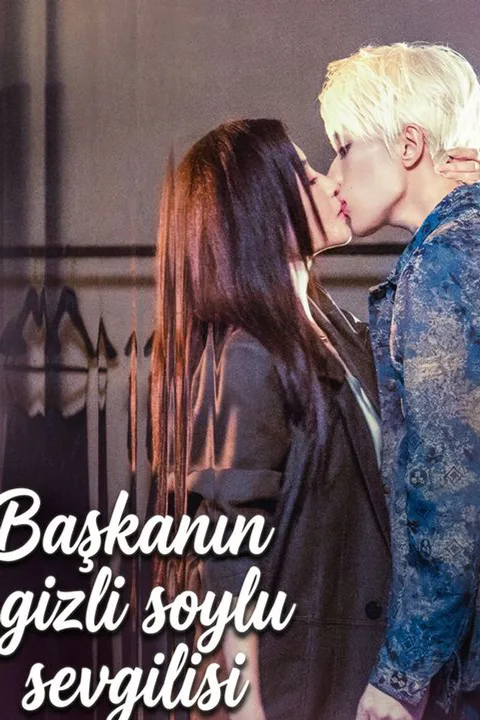Her Billionaire Toy Boy poster