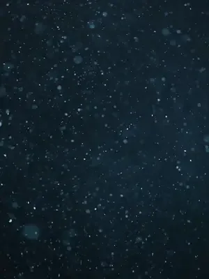 Her Şey Bir Reddedişle Başladı afişi