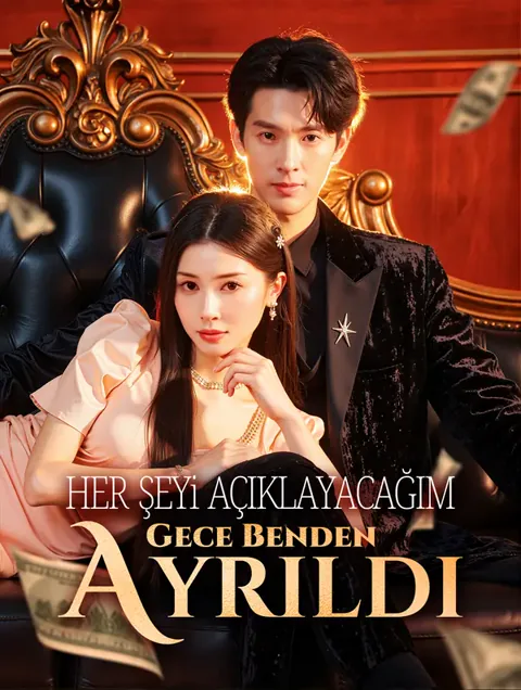 Her Şeyi Açıklayacağım Gece Benden Ayrıldı afişi