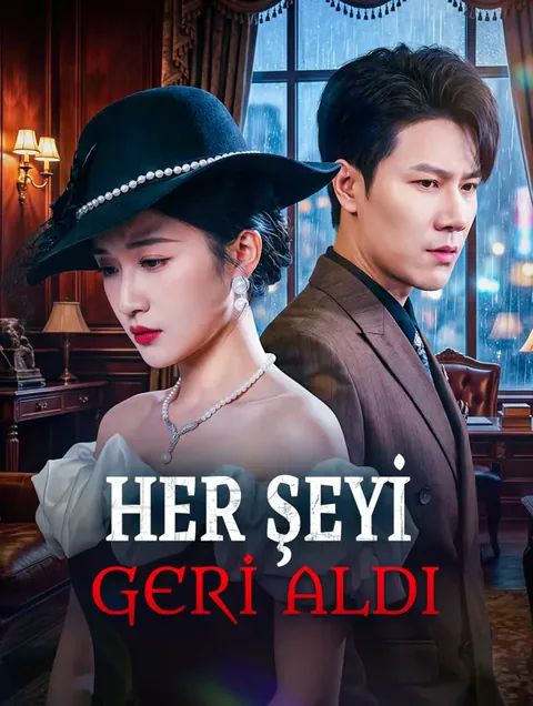 Her Şeyi Geri Aldı afişi