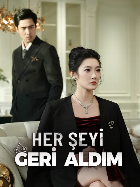 HER ŞEYİ  GERİ ALDIM afişi