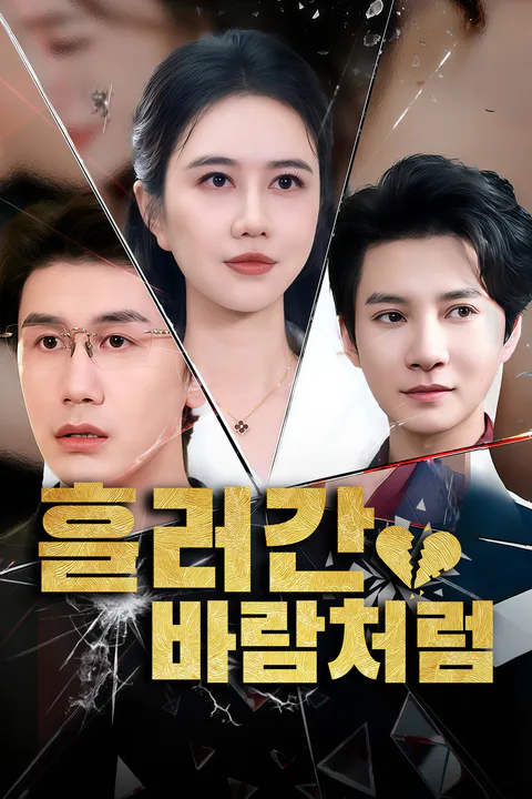 흘러간 바람처럼 포스터