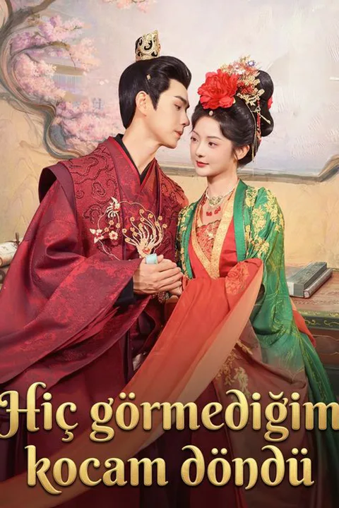 Hiç görmediğim kocam döndü afişi