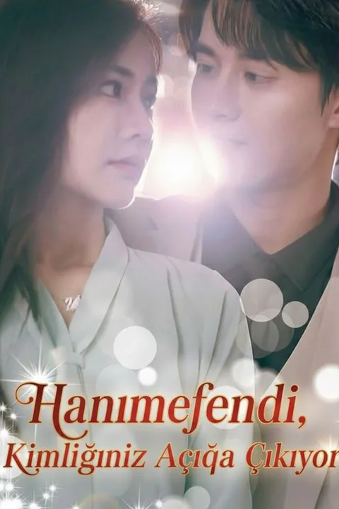 Hidden Billionaire Wife poster