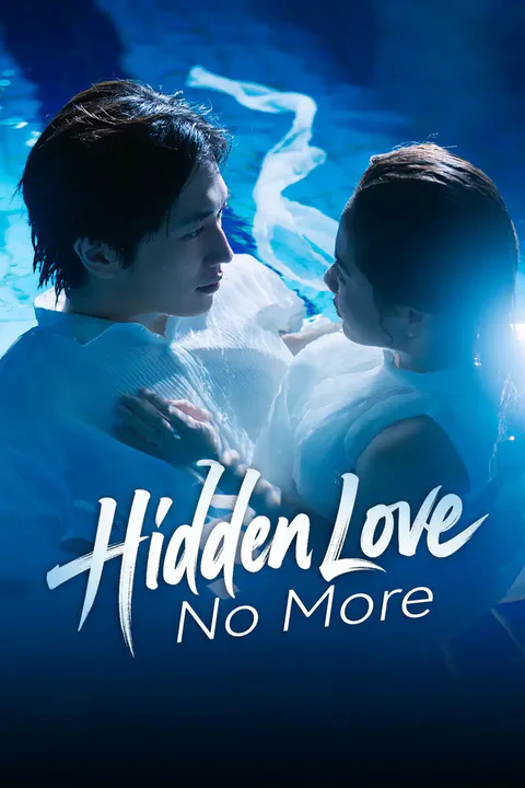Hidden Love No More poster