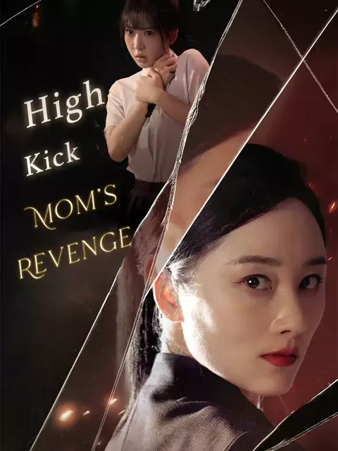 High Kick: Mom's Revenge poster