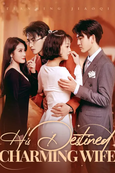 His Destined Charming Wife poster