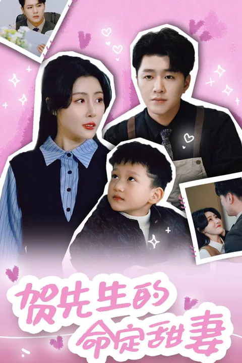 His Destined Sweet Wife poster