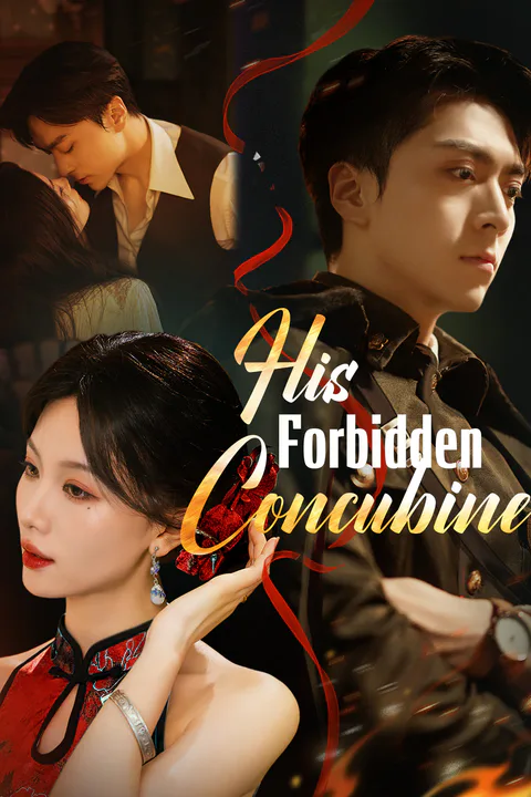 His Forbidden Concubine poster