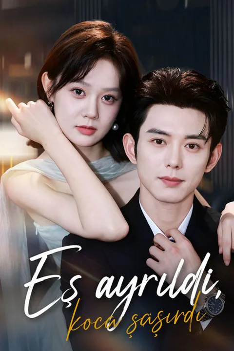 His Meek Wife Filed for Divorce poster