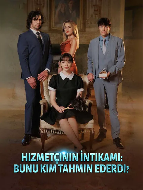 Hizmetçinin İntikamı:Bunu Kim Tahmin Ederdi? afişi