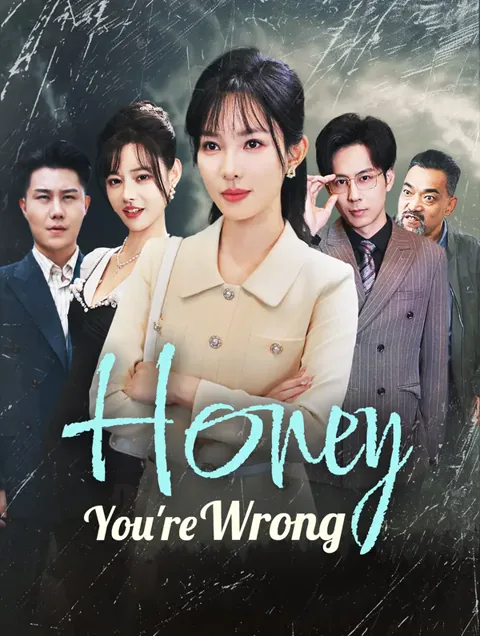 Honey, You're Wrong poster