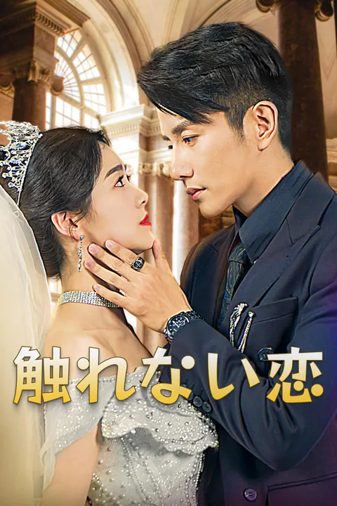 触れない恋-1のポスター