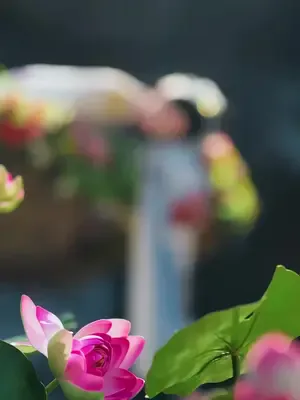 Hovarda lordun şanslı gelini afişi