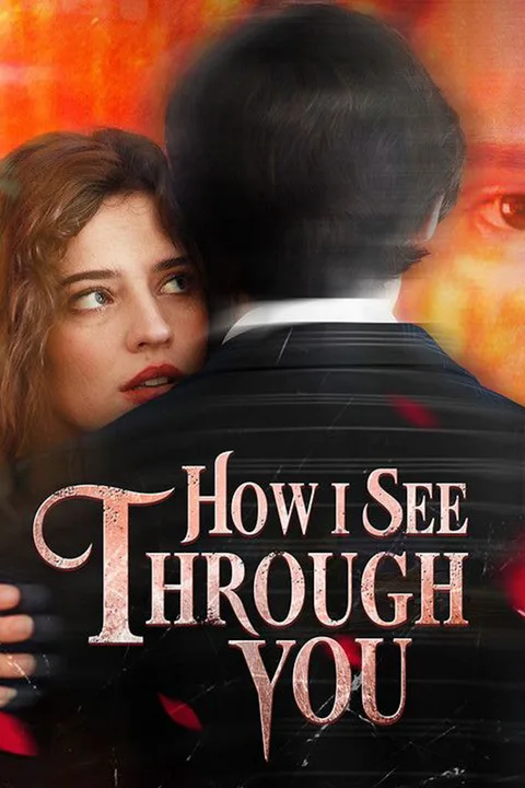 How I See Through You poster