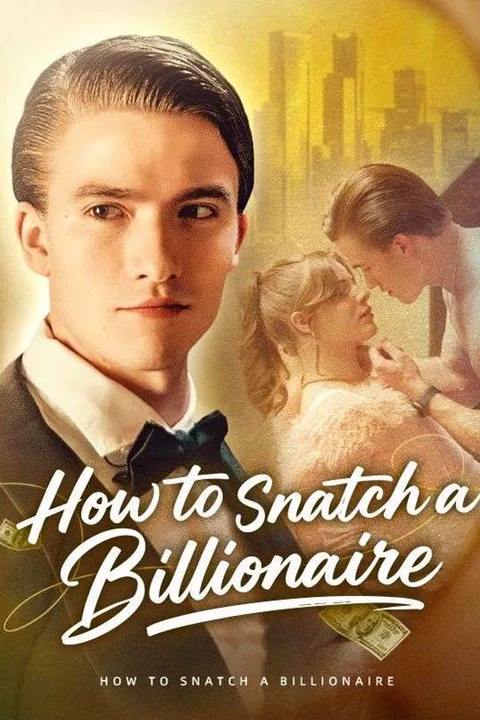 How to Snatch a Billionaire poster