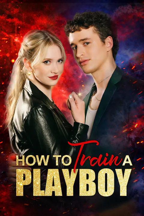 How to Train a Playboy poster