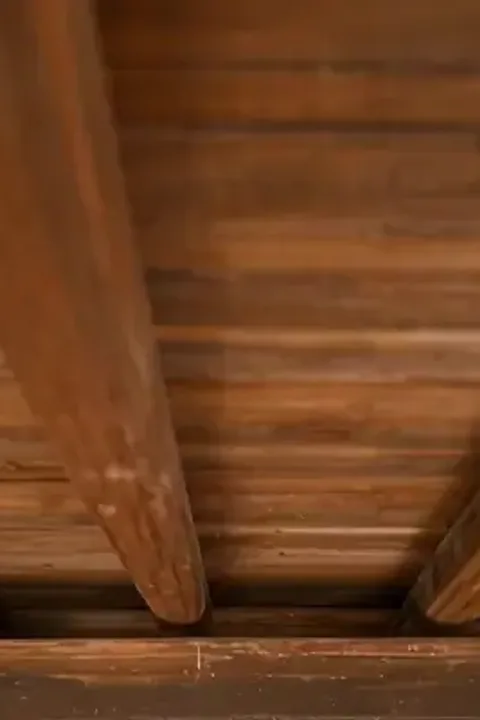 ملصق حقول سحرية بعد حرماني من الميراث