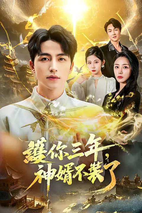 《護你三年，神婿不裝了》海報