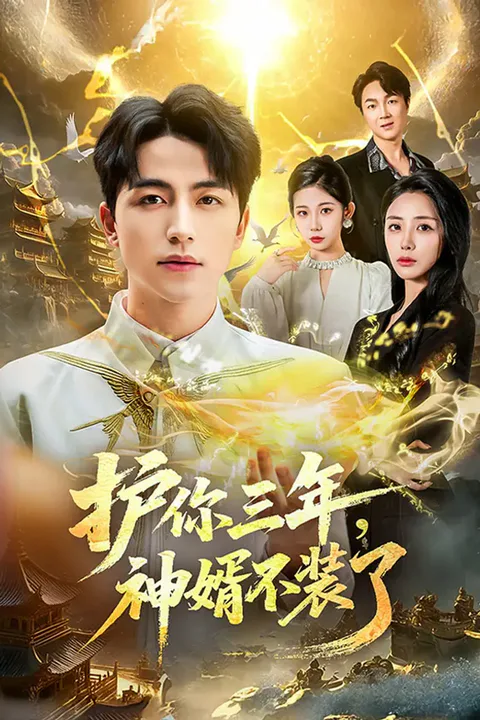 《护你三年，神婿不装了》海报