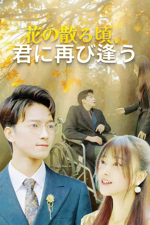 花の散る頃、君に再び逢うのポスター