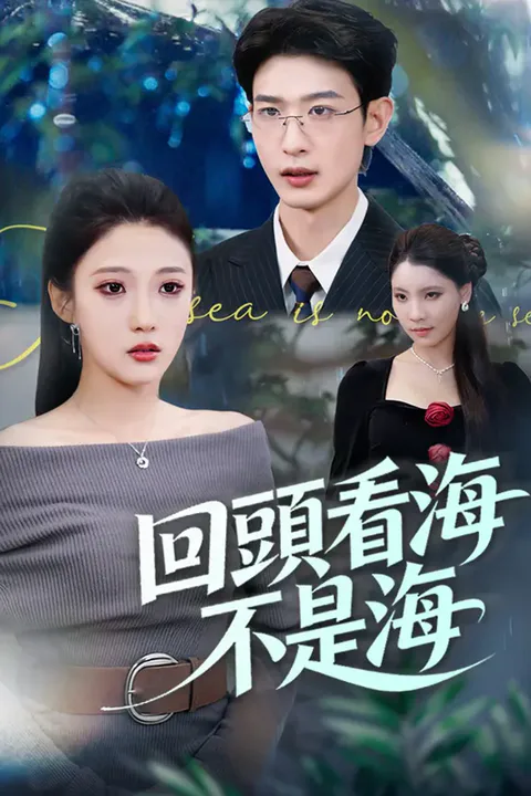 《回頭看海不是海》海報