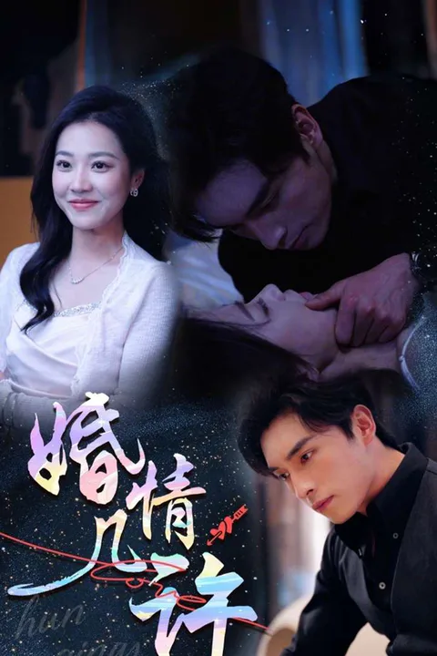 《婚情几许》海报
