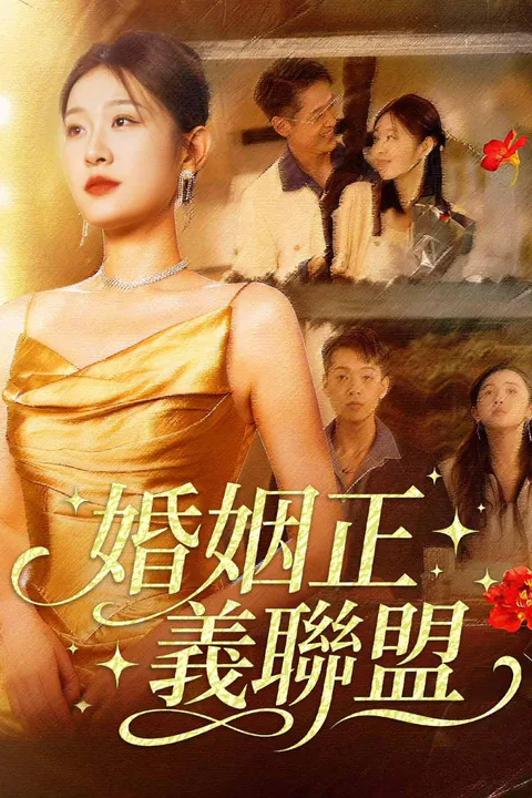 《婚姻正義聯盟》海報