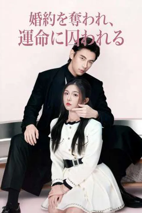 婚約を奪われ、 運命に囚われるのポスター