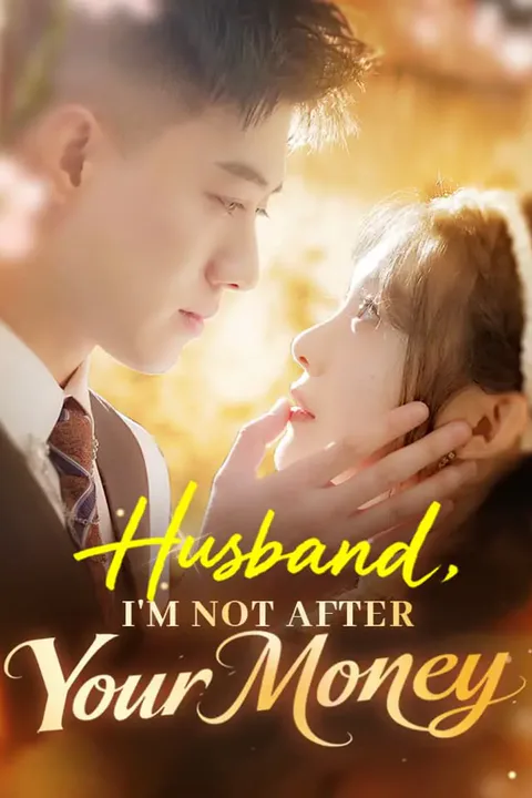 Husband, I'm Not After Your Money poster