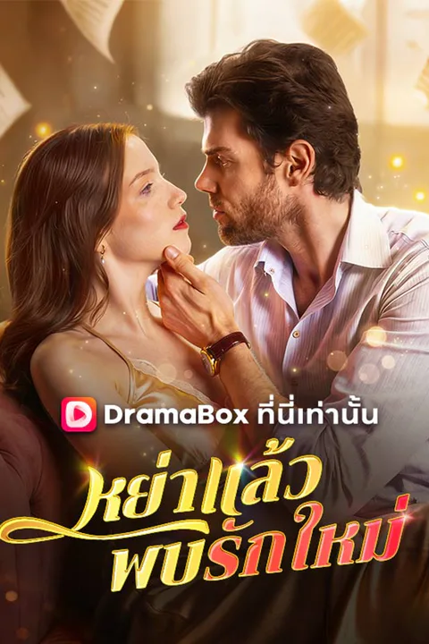 โปสเตอร์ หย่าแล้วพบรักใหม่