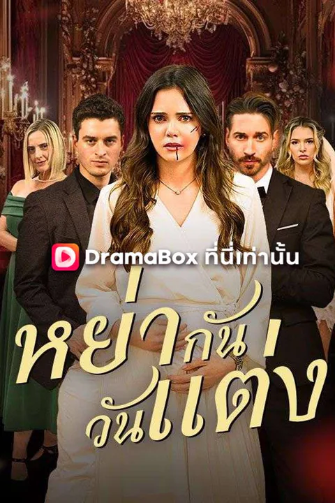 โปสเตอร์ หย่ากันวันแต่ง