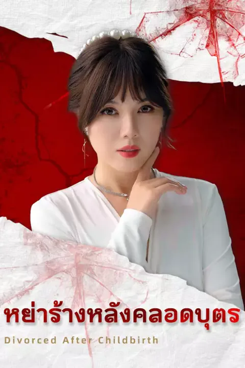 โปสเตอร์ หย่าร้างหลังคลอดบุตร