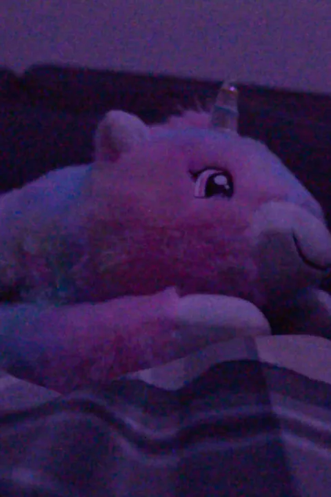 i can't sleep.mp4 poster